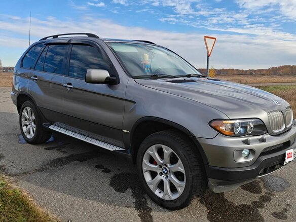 2005 BMW X5 3.0i I (E53) Рестайлинг, серый, 1265000 рублей - вид 7