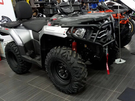 2025 Loncin XWolf 300 Max, серебристый, 479000 рублей, вид 1