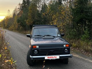 2013 Lada (ВАЗ) 2121 (4x4) I Рестайлинг, зелёный, 480000 рублей, вид 3