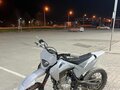 2025 Darex Tau NB300, серый, 109999 рублей - вид 2