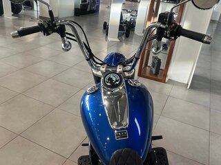 2026 Timpton Special, синий, 900000 рублей, вид 5