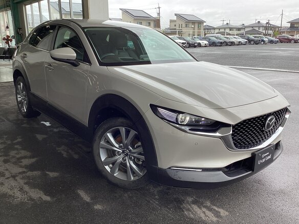 2023 Mazda CX-30 I, серый - вид 2
