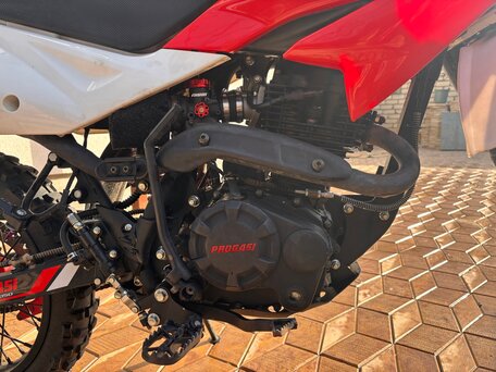 2024 Progasi Smart Max 150, красный, 80000 рублей, вид 5