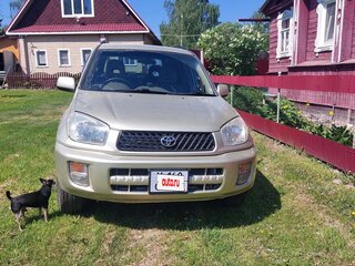 2001 Toyota RAV4 II (XA20), золотистый, 580000 рублей, вид 1