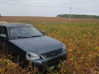 2010 Lada (ВАЗ) Priora I, серый, 280000 рублей, вид 4