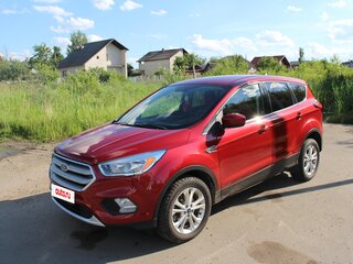 2019 Ford Escape III Рестайлинг, пурпурный, 1400000 рублей, вид 1