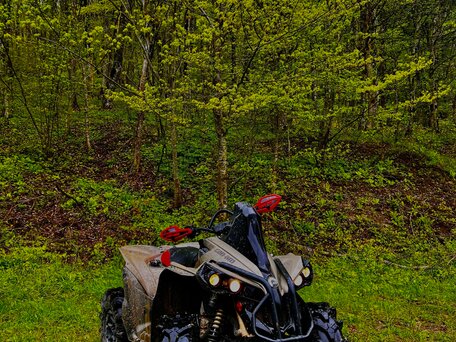 2022 BRP Can-Am Renegade 1000, бежевый, 1600000 рублей, вид 2