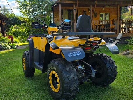 2023 Motoland Wild Track 200, жёлтый, 150000 рублей, вид 4