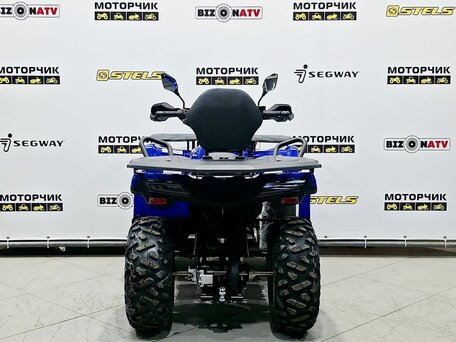 2026 Bizon YK250 LUX EFI, синий, 255000 рублей, вид 4