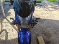 2007 Honda CB 600F Hornet, синий, 400000 рублей - вид 5