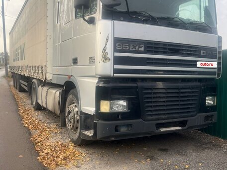 2002 DAF 95XF, серебристый, 1190000 рублей, вид 2