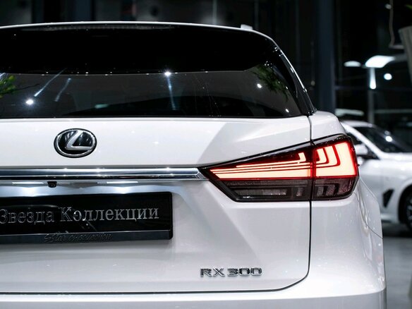 2020 Lexus RX 300 IV Рестайлинг, белый, 5049000 рублей - вид 6