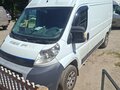 2009 Fiat Professional Ducato, белый, 990000 рублей
