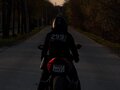 2002 Honda CBR 600F, красный, 350000 рублей - вид 9