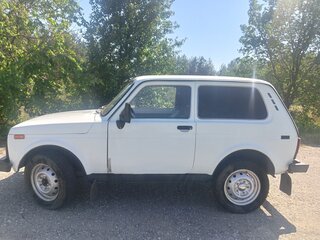 2003 Lada (ВАЗ) 2121 (4x4) I Рестайлинг, белый, 250080 рублей, вид 4
