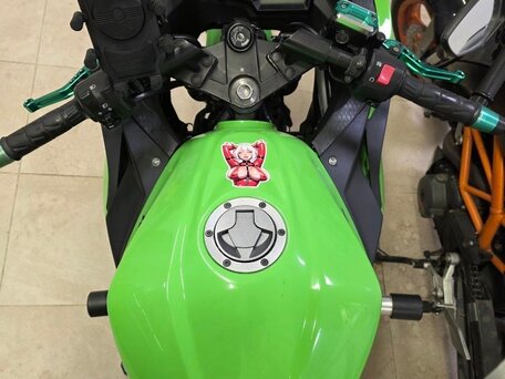 2014 Kawasaki Ninja 300, зелёный, 235000 рублей, вид 4