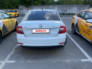 2019 Skoda Octavia III (A7) Рестайлинг, белый, 750000 рублей, вид 4