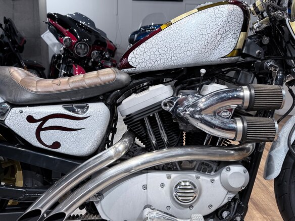2005 Harley-Davidson Sportster 1200, белый, 850000 рублей - вид 21