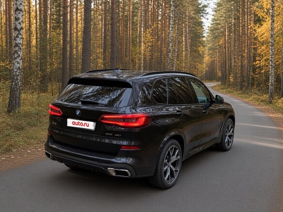 2019 BMW X5 40i IV (G05/G18), чёрный - вид 5