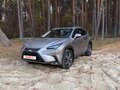 2018 Lexus NX 300 I Рестайлинг, серебристый, 3700000 рублей - вид 1