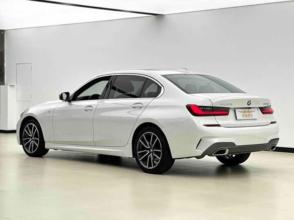 2021 BMW 3 серии Long 320Li VII (G2x), белый, 2800000 рублей - вид 6
