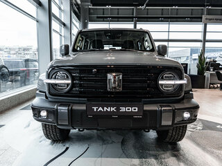 2026 Tank 300 I, серый, 5249000 рублей, вид 5