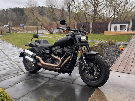 2019 Harley-Davidson Fat Bob, серый, 1700000 рублей, вид 3