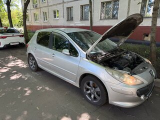 2007 Peugeot 307 I Рестайлинг, серый, 300000 рублей, вид 1
