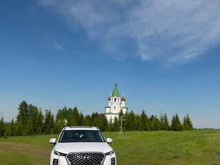 2021 Hyundai Palisade I, белый, 3880000 рублей, вид 2