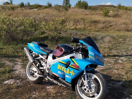 2001 Suzuki TL 1000, синий, 235000 рублей, вид 1