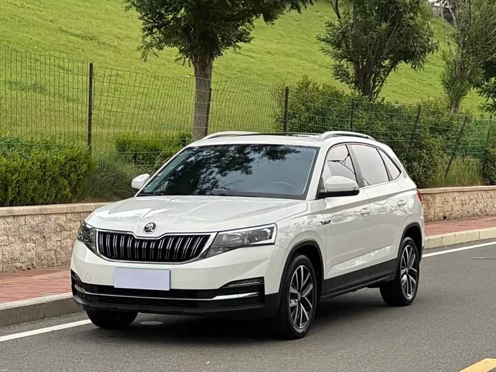 Открыть фотографии: Skoda Kamiq I (China Market)