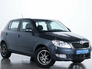 2013 Skoda Fabia II Рестайлинг, серый, 559000 рублей, вид 1