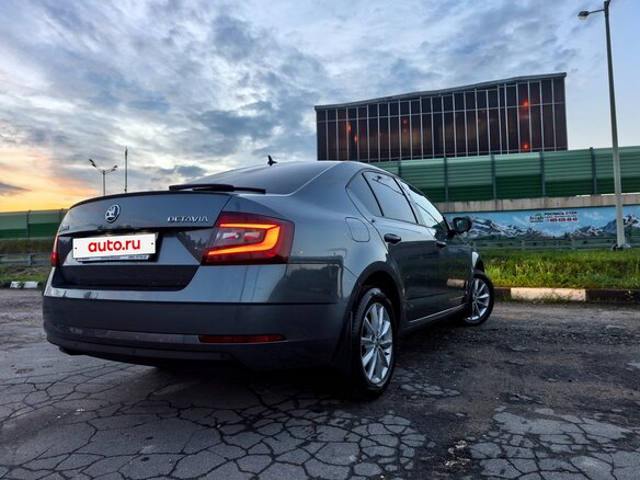 2019 Skoda Octavia III (A7) Рестайлинг, серый - вид 10