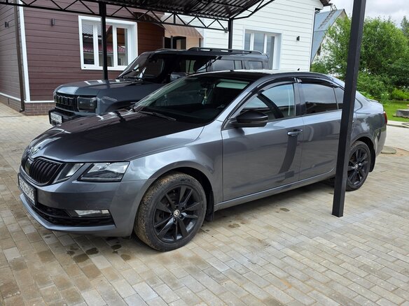 2018 Skoda Octavia III (A7) Рестайлинг, серый