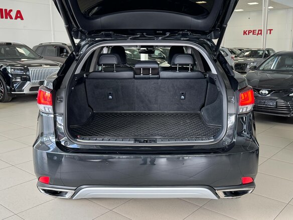 2021 Lexus RX 300 IV Рестайлинг, чёрный - вид 17