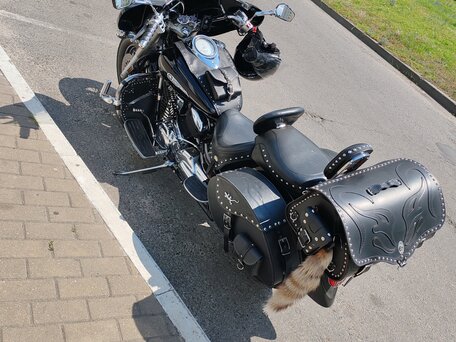 2002 Yamaha XVS1100, чёрный, 600000 рублей, вид 5
