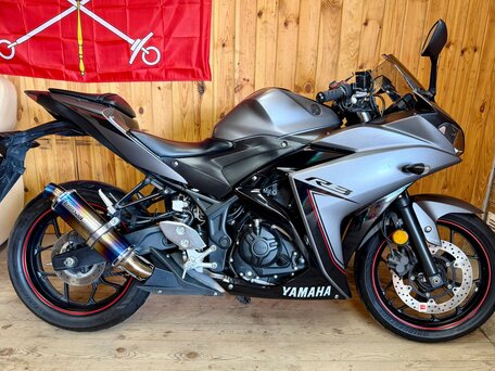 2015 Yamaha YZF-R3, серый, 449000 рублей, вид 1