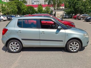 2009 Skoda Fabia II, серый, 510000 рублей, вид 5