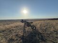 2025 BSE PH 125, зелёный, 95000 рублей - вид 3