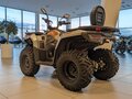 2026 Loncin XWolf 300 Max, серый, 485000 рублей - вид 1