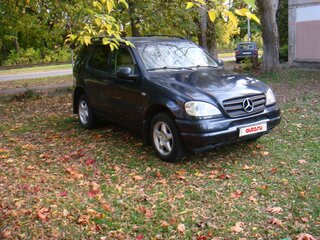 2001 Mercedes-Benz M-Класс 320 I (W163) Рестайлинг, синий, 710000 рублей, вид 2