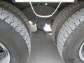 2001 Scania R-Series, оранжевый, 12300000 рублей - вид 4