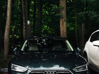 2016 Audi A5 II (F5), зелёный, 2600000 рублей, вид 4