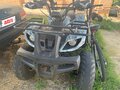 2024 Tao Motor 250 X, зелёный, 85000 рублей