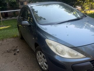 2007 Peugeot 307 I Рестайлинг, серебристый, 550000 рублей, вид 2