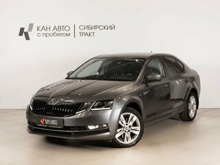 2017 Skoda Octavia III (A7) Рестайлинг, серый, 2093000 рублей, вид 1
