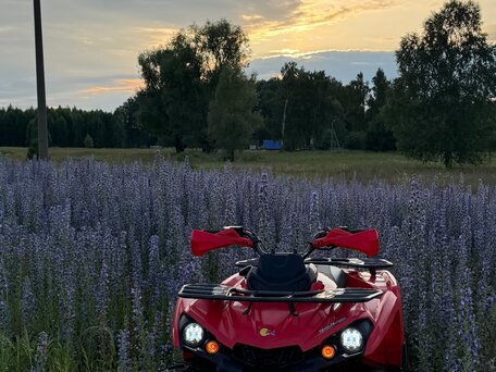 2023 Mikilon Hammer 200L, красный, 177000 рублей, вид 1