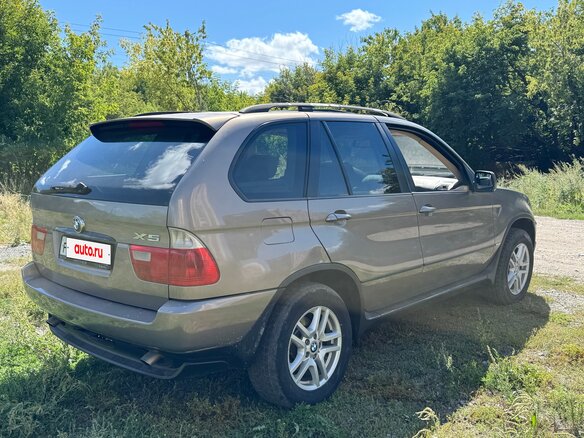 2005 BMW X5 3.0i I (E53) Рестайлинг, серый - вид 6