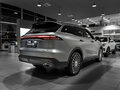 2024 Chery Tiggo 9 I, серый, 5050000 рублей - вид 6