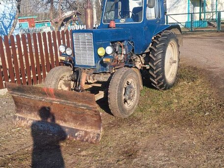 1981 МТЗ (BELARUS) 82, синий, 580000 рублей, вид 1